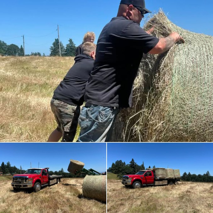 Otto Kings unique recovery service