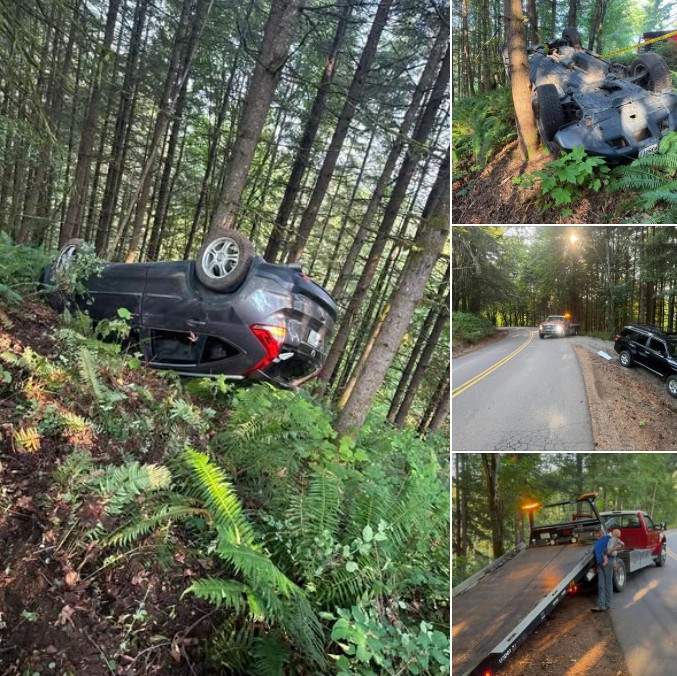 Rollover and off-road vehicle recovery Oregon forest
